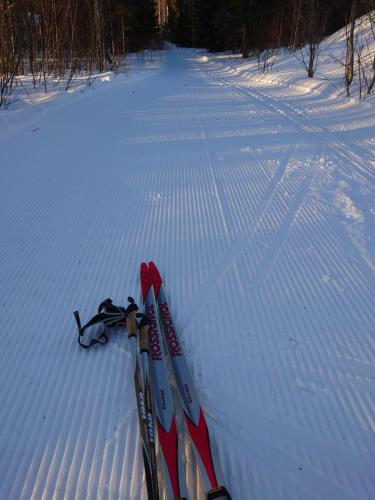a pair of skis and ski poles in the snow at Rivitalon lomahuoneisto Tahkolla in Tahkovuori