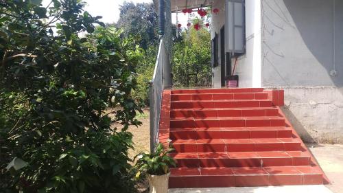 Đức Phát Homestay – Photos 3