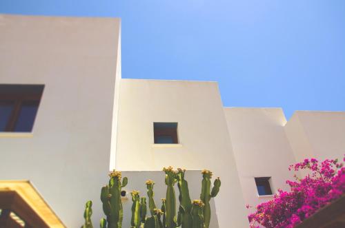 Un cactus devant un bâtiment blanc dans l'établissement Casa Marlene, à Rodalquilar