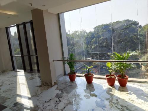 a room with potted plants inront of a large window at BANMALI REGENCY in Jamshedpur