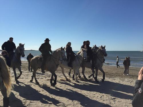 - un groupe de personnes à cheval sur la plage dans l'établissement Appart très cosy jusqu'à 6 pers, Lac du Salonique, au Grau-du-Roi