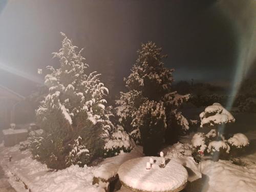 a christmas display with two trees covered in snow at Dat lütte Heidehotel Funk - Garni in Bispingen