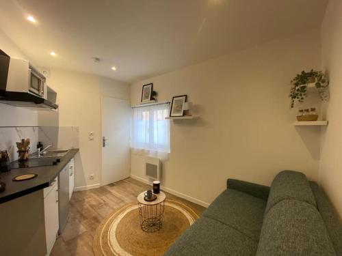 Le Pti'toulousain 9 - Studio Centre