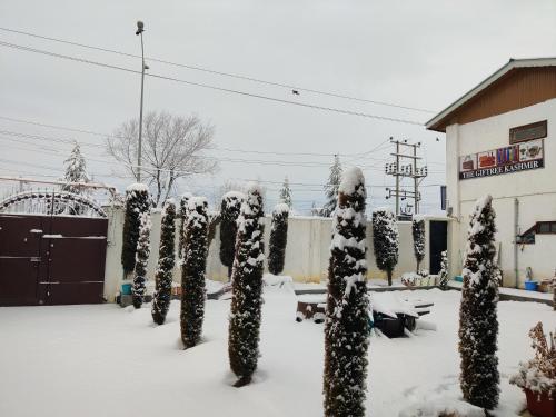 a group of snow covered trees in front of a building at Kashmir Homestay in Gulmarg