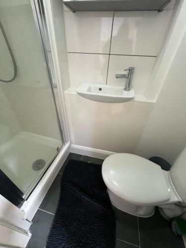 La salle de bains est pourvue de toilettes, d'un lavabo et d'une douche. dans l'établissement Station Lodge, à Londres