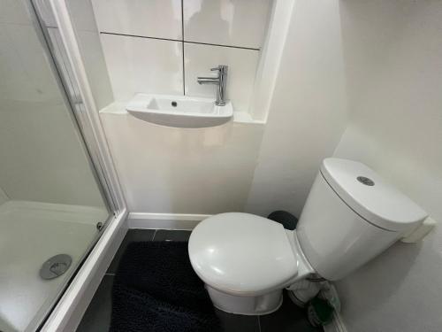 La salle de bains est pourvue de toilettes et d'un lavabo. dans l'établissement Station Lodge, à Londres