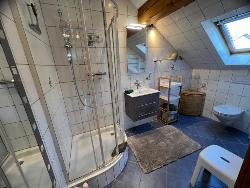 a bathroom with a shower and a sink and a toilet at Studioferienwohnung Bad Camberg in Bad Camberg