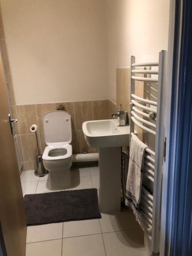 een badkamer met een toilet en een wastafel bij Weston Court in Avonmouth