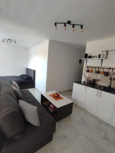 a living room with a couch and a table at Apartman Nina in Ostrovo