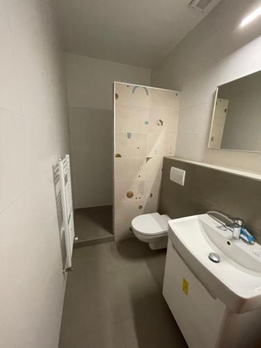 a bathroom with a toilet and a sink at Apartment Adam & Eva in Piešťany