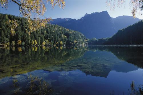 a view of a lake with trees and mountains at Seehüter's Hotel Seerose in Oetz