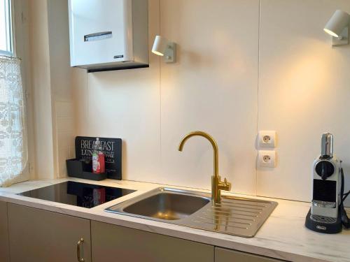 - un comptoir de cuisine avec évier et une bouteille de vin dans l'établissement Bon Blois, cosy et charmant face à la Loire, à Blois