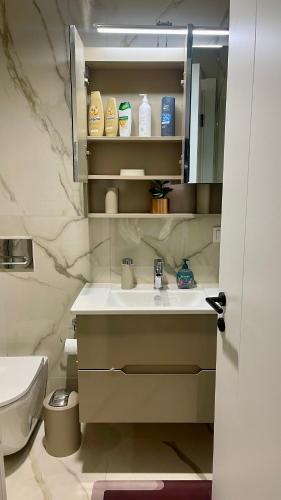 um banheiro com uma pia, um vaso sanitário e um espelho em Diamond of Skopje Luxury apartment 18th floor em Skopje
