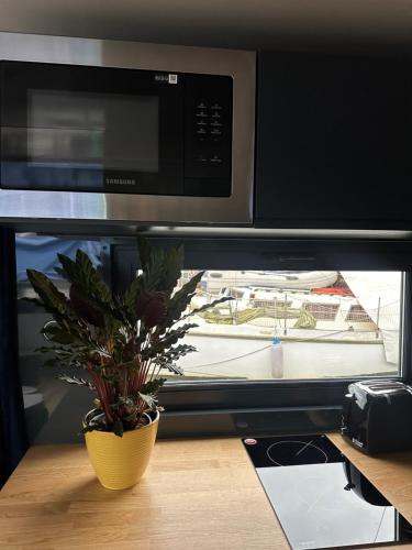 a microwave and a plant in front of a window at Premium Hausboot Blaue Lagune in Lübeck