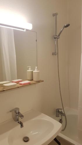 une salle de bain avec un lavabo, un miroir et une douche dans l'établissement Agréable studio Bordeaux proche toutes commodités, à Bordeaux