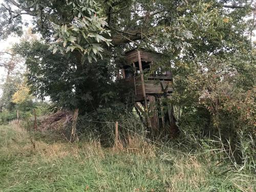 Taman di luar Reetdachhaus, Wilstermarsch