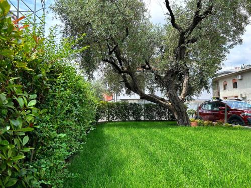 ein Baum inmitten eines Gartens mit grünem Gras in der Unterkunft Casa Ciliegi 3 in Marostica