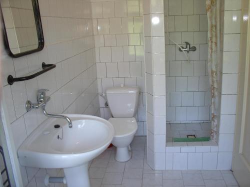 a bathroom with a sink and a toilet at Penzion Roko in Rokytnice nad Jizerou