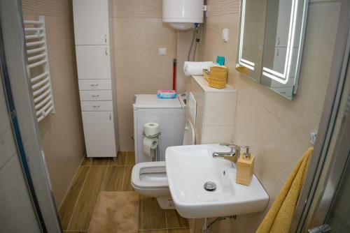 a small bathroom with a toilet and a sink at Apartment Infinity in Kruševac
