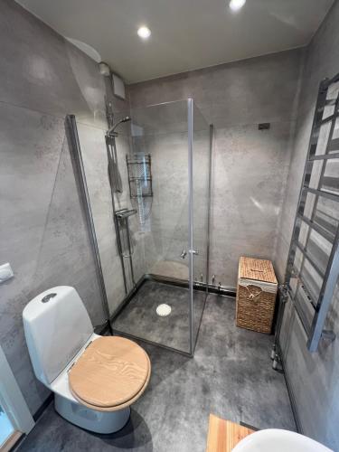 a bathroom with a shower stall and a toilet at Linda's Apartment in Sörsjön