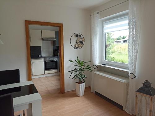 a kitchen with a window and a potted plant at Große helle Ferienwohnung mit Balkon, ruhig gelegen mit guter Verkehrsanbindung in Bad Berneck im Fichtelgebirge
