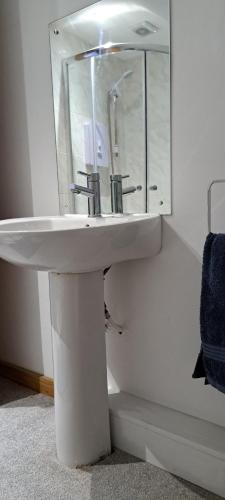 a bathroom with a white sink and a mirror at Robins Nest in Ingleton