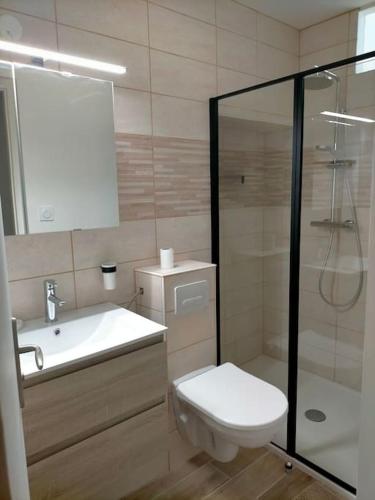a bathroom with a toilet and a sink and a shower at Voyage Appar't, location de gite Vendée et Puy du Fou in Tiffauges