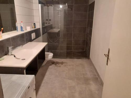 uma casa de banho com um WC, um lavatório e um chuveiro em Old Central 2-room souterrain flat em Brno