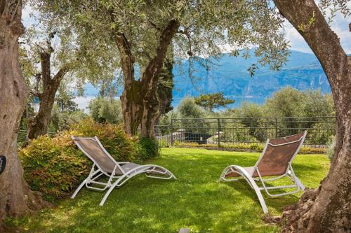 two chairs sitting in the grass under a tree at CallaLillyJardin in Malcesine