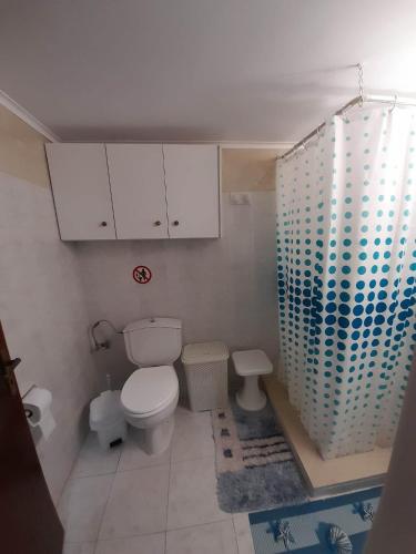 a bathroom with a toilet and a blue shower at Areti's house in Meyisti