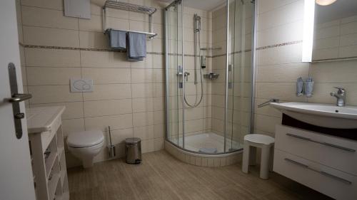 a bathroom with a shower and a toilet and a sink at Ferienwohnungen Hotel Eden Spiez in Spiez