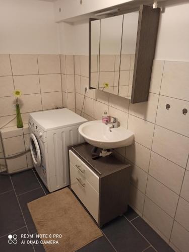 a bathroom with a sink and a washing machine at Ferienwohnung"Harzliebe" in Gernrode - Harz
