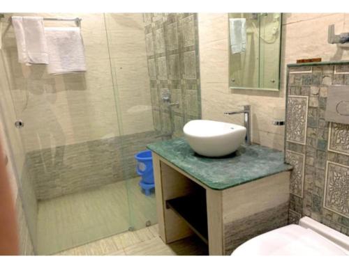 a bathroom with a sink and a shower at Hotel Highway, Udhampur in Udhampur