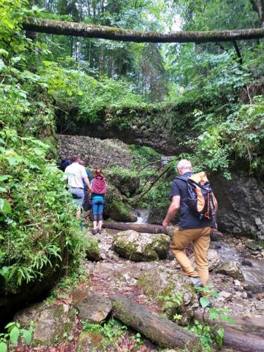 a group of people walking down a forest trail at Penzión Zbojnícky Halaš in Tisovec