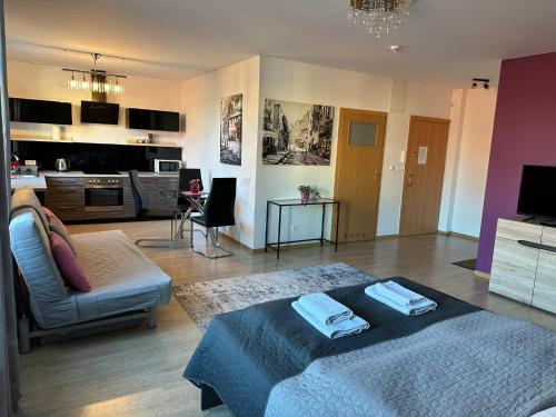 TV a/nebo společenská místnost v ubytování Apartamenty EDK