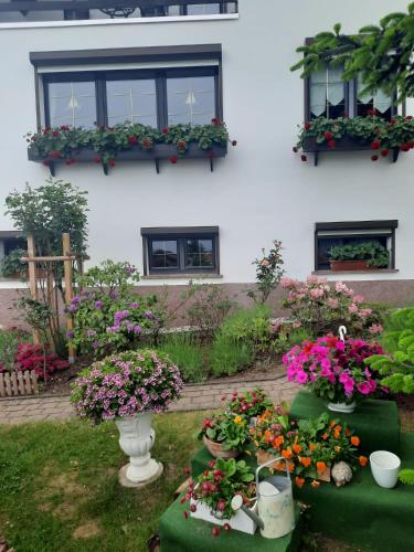 a garden with flowers in front of a building at Ferienwohnung"Harzliebe" in Gernrode - Harz