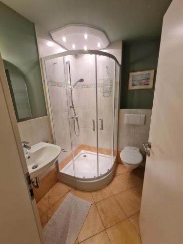 a bathroom with a shower and a toilet and a sink at Haus Fernblick in Kurort Bärenburg