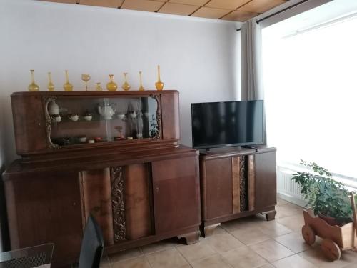 Μια τηλεόραση ή/και κέντρο ψυχαγωγίας στο Schöne Wohnung im Herzen von Burgstädt