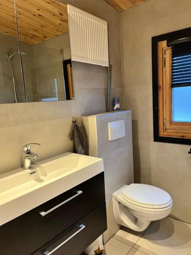 ein Badezimmer mit einem Waschbecken, einem WC und einem Spiegel in der Unterkunft 5 persoons chalet met gezellige houtkachel nabij Wildlands Emmen in Schoonebeek