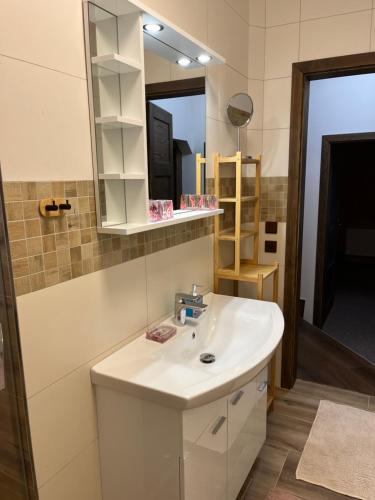 a bathroom with a white sink and a mirror at Apartmán 27 - Ubytování v Krkonoších se saunou in Trutnov