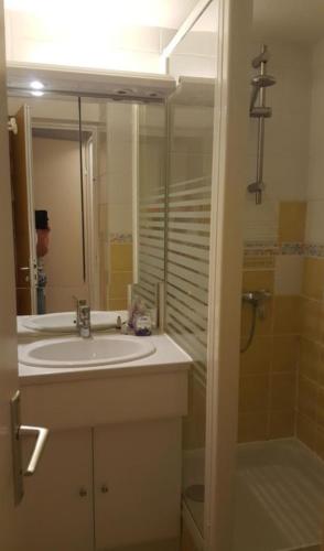 une salle de bain avec un lavabo et une douche dans l'établissement Maisonnette climatisée 6 personnes, à Argelès-sur-Mer