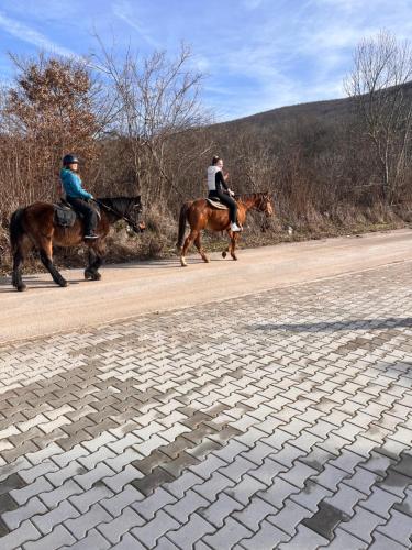 two people riding horses on a dirt road at Plitvice Village in Korenica