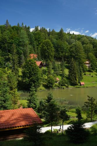 Gallery image of Hotel Ozero Vita in Nizhniy Studenyy