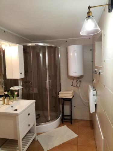a bathroom with a shower and a sink at Nad Potokiem in Grąziowa