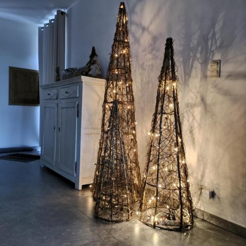 two christmas trees with lights in a room at Le 43 - Gîte rural 3 épis, près de Binche, Thuin et Mons in Merbes-le-Château