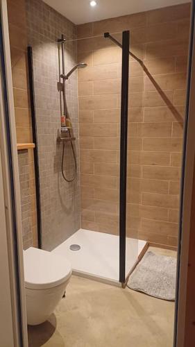 une salle de bain avec douche et toilettes dans l'établissement Maison - Les Loges de St-Claude, à Saint-Claude
