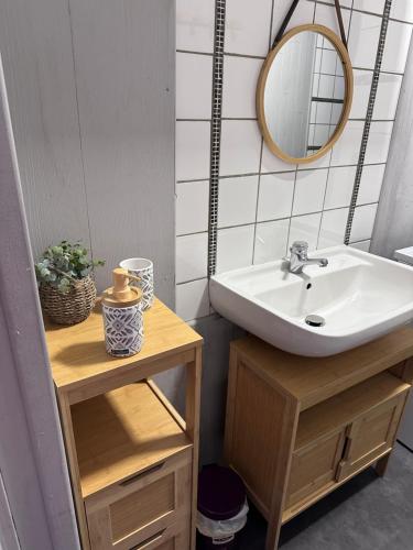 昂布朗的住宿－Appartements La Durance et L'Helpe，一间带水槽和镜子的浴室