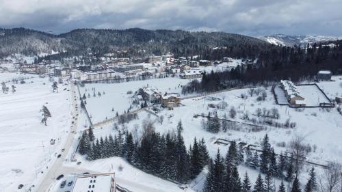 an aerial view of a ski resort in the snow at AVIATOR Apartments in Bakuriani in Bakuriani