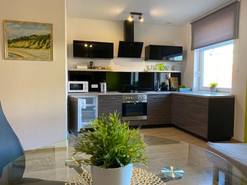 Kuchyň nebo kuchyňský kout v ubytování Apartamenty EDK