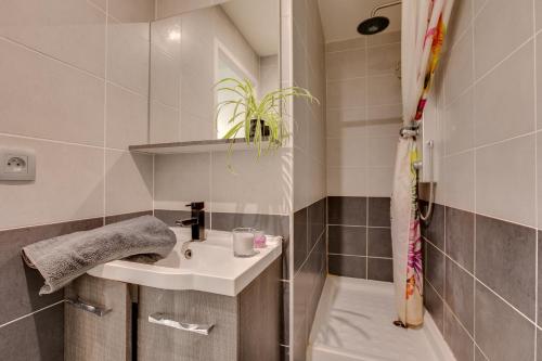 une petite salle de bain avec un lavabo et une douche dans l'établissement Artemis, au Grau-dʼAgde